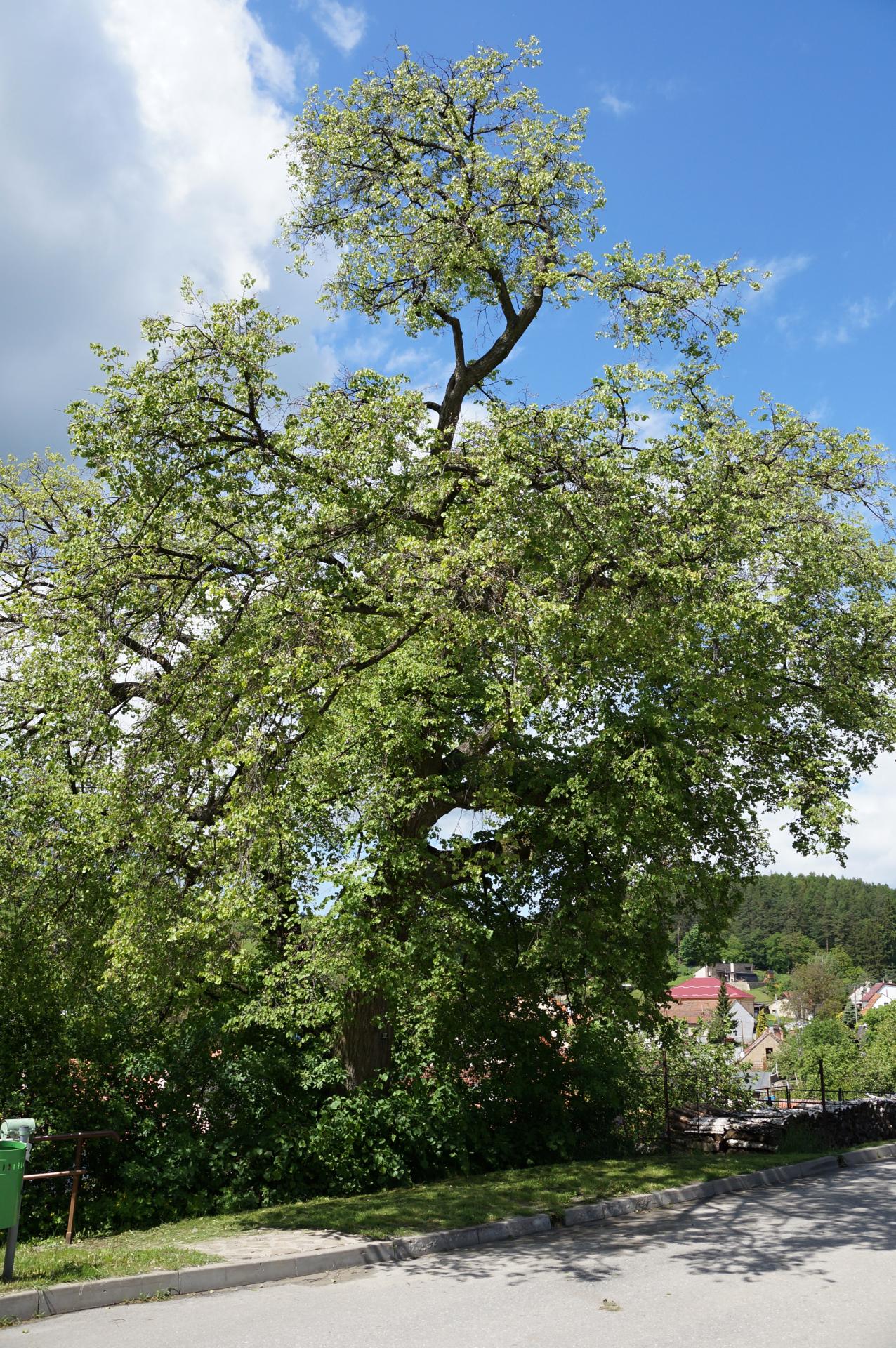 2013