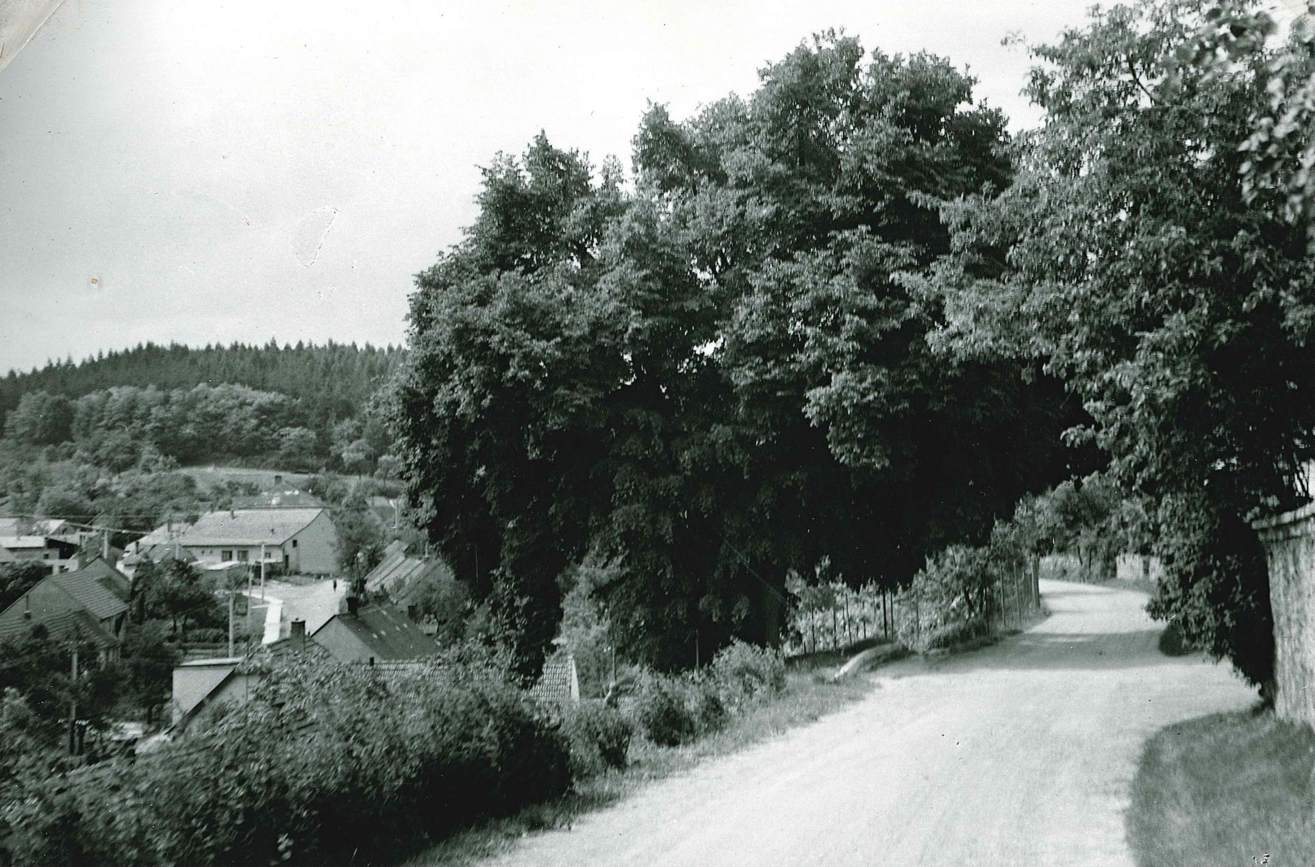 1975