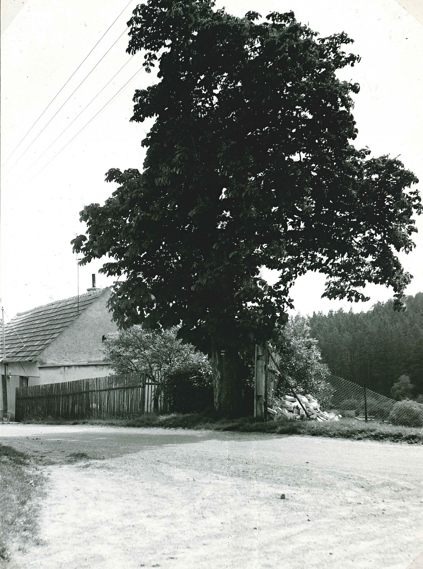 1975