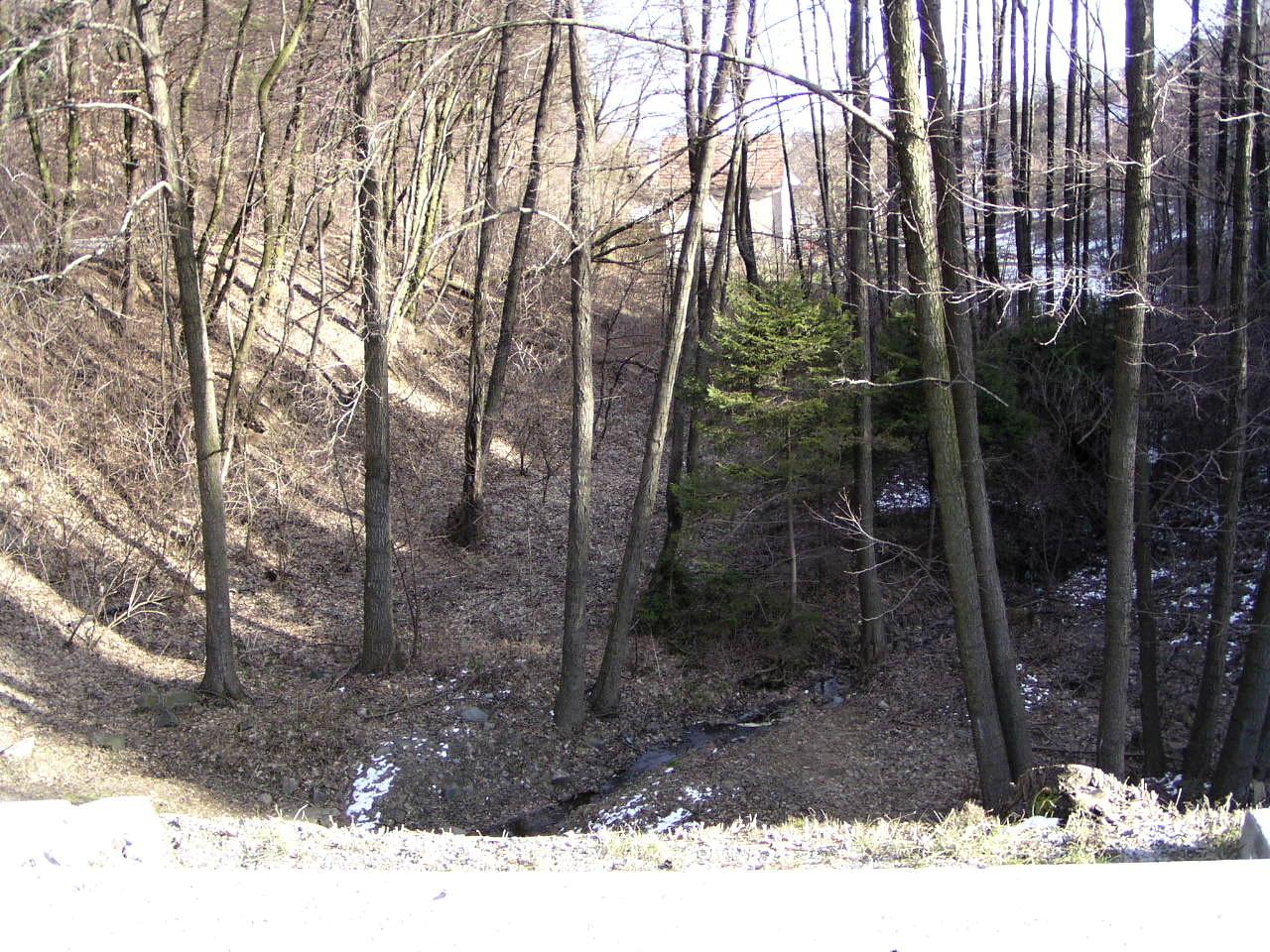 2004